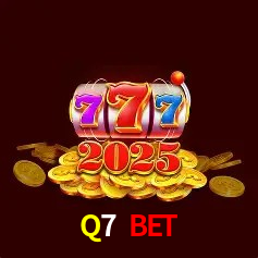 Sistemas de Segurança Q7 Bet